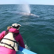 IMG 0001 2 (277)